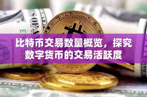 比特币交易数量概览,探究数字货币的交易活跃度