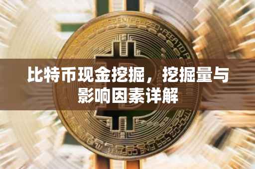 比特币现金挖掘,挖掘量与影响因素详解
