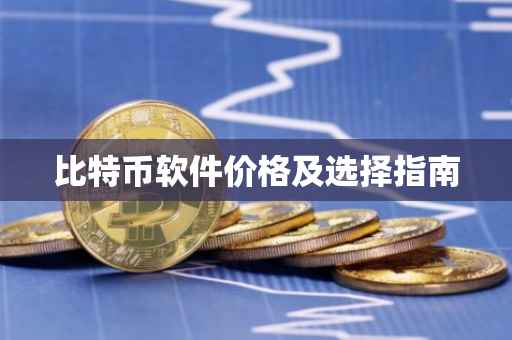 比特币软件价格及选择指南