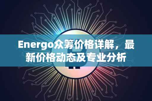 Energo众筹价格详解，最新价格动态及专业分析