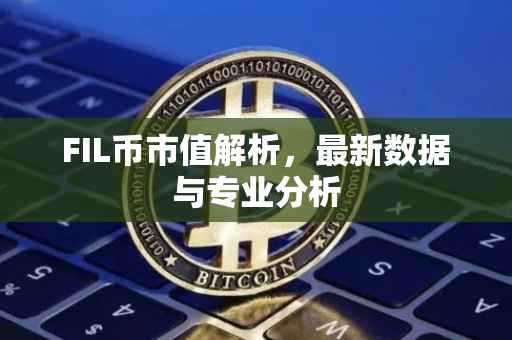 FIL币市值解析，最新数据与专业分析