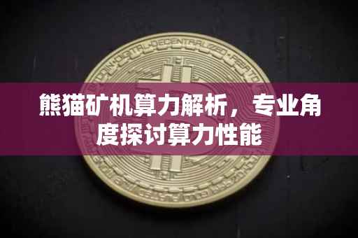 熊猫矿机算力解析，专业角度探讨算力性能