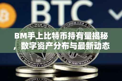 BM手上比特币持有量揭秘，数字资产分布与最新动态