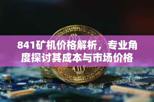 841矿机价格解析，专业角度探讨其成本与市场价格