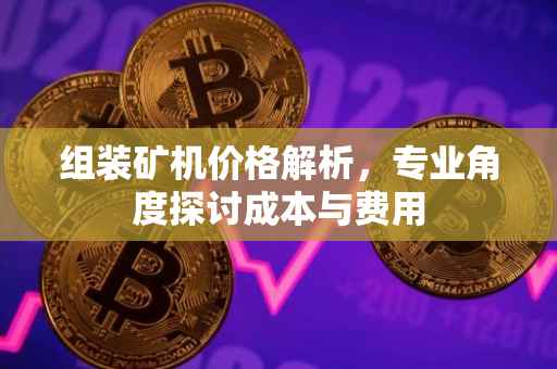 组装矿机价格解析，专业角度探讨成本与费用