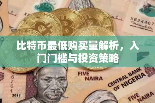 比特币最低购买量解析,入门门槛与投资策略