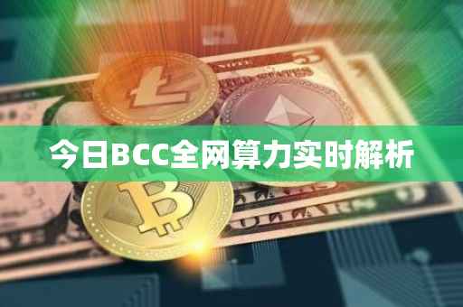 今日BCC全网算力实时解析