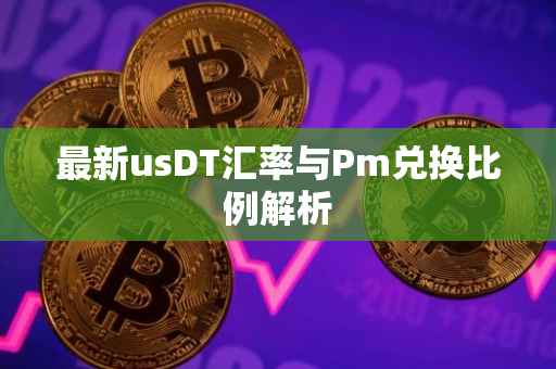 最新usDT汇率与Pm兑换比例解析