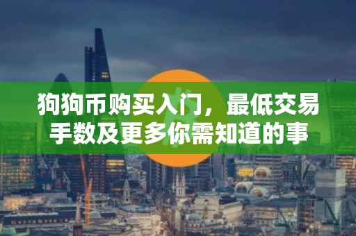 狗狗币购买入门，最低交易手数及更多你需知道的事