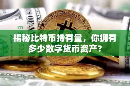 揭秘比特币持有量，你拥有多少数字货币资产？