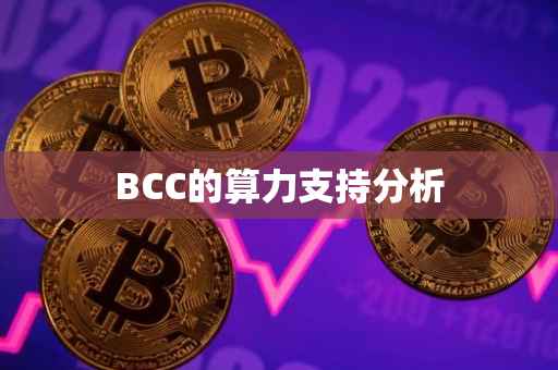 BCC的算力支持分析