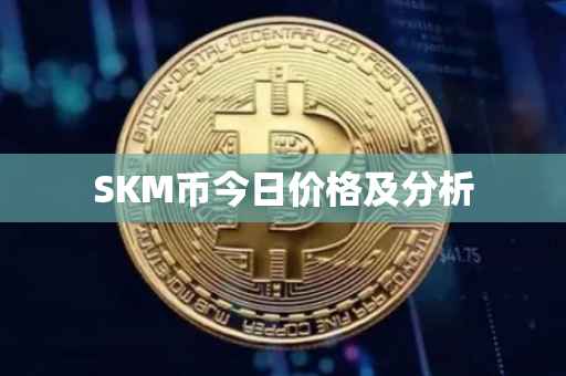 SKM币今日价格及分析