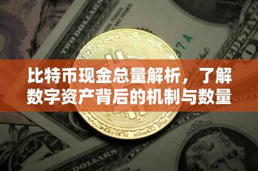 比特币现金总量解析，了解数字资产背后的机制与数量上限