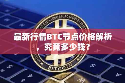 最新行情BTC节点价格解析，究竟多少钱？