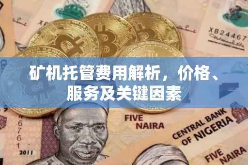 矿机托管费用解析，价格、服务及关键因素