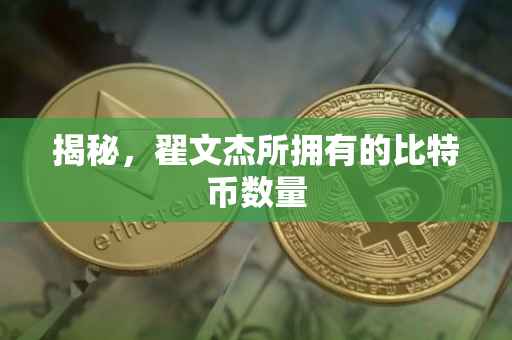 揭秘，翟文杰所拥有的比特币数量