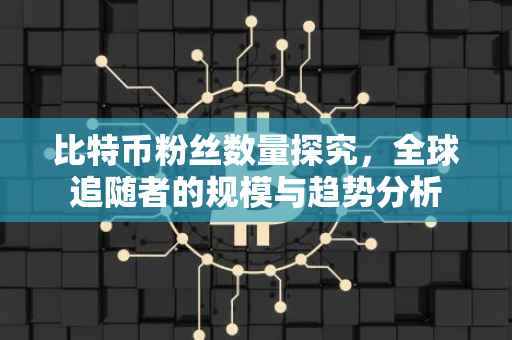 比特币粉丝数量探究，全球追随者的规模与趋势分析