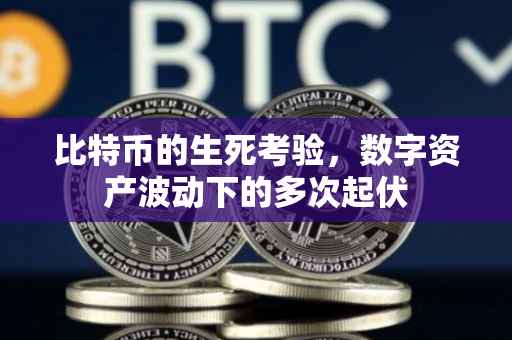 比特币的生死考验，数字资产波动下的多次起伏