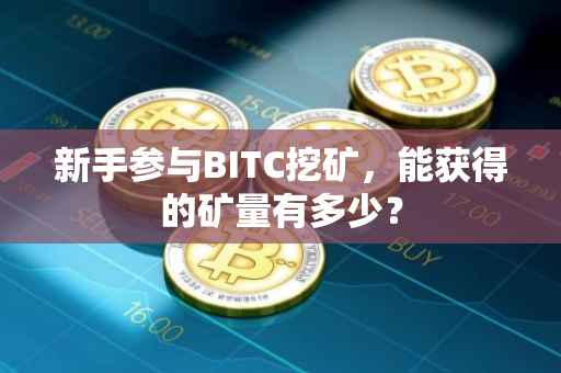 新手参与BITC挖矿，能获得的矿量有多少？