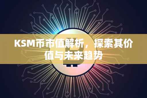 KSM币市值解析，探索其价值与未来趋势