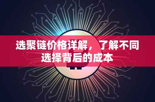 选聚链价格详解，了解不同选择背后的成本