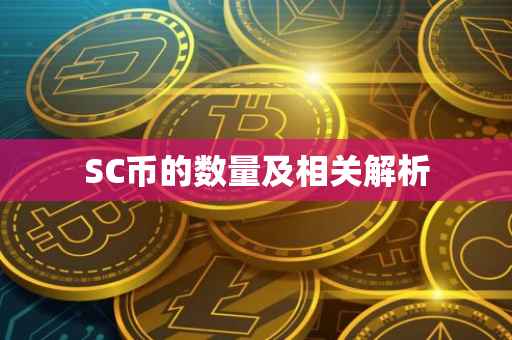 SC币的数量及相关解析