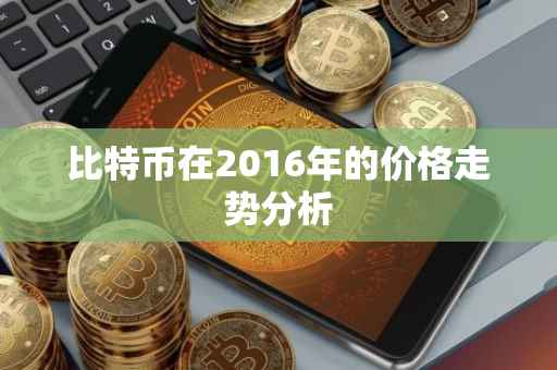 比特币在2016年的价格走势分析