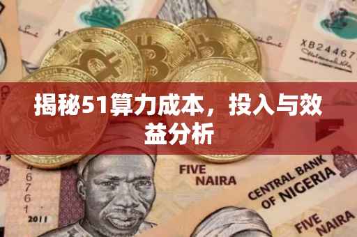 揭秘51算力成本，投入与效益分析