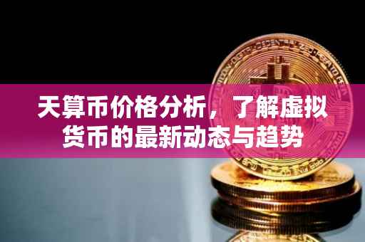 天算币价格分析，了解虚拟货币的最新动态与趋势