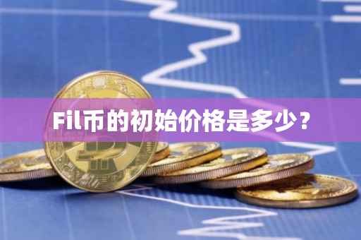 Fil币的初始价格是多少？