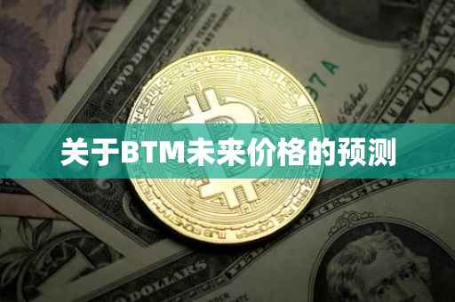 关于BTM未来价格的预测