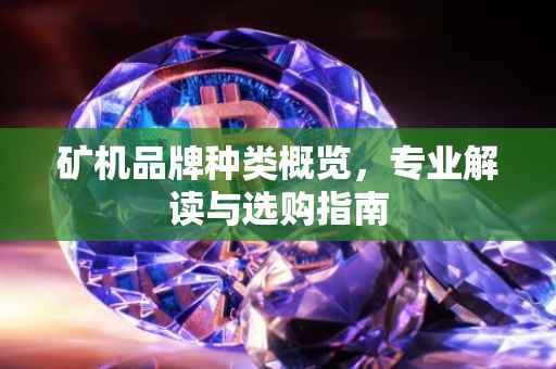 矿机品牌种类概览，专业解读与选购指南