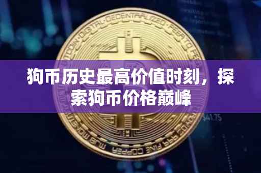 狗币历史最高价值时刻，探索狗币价格巅峰