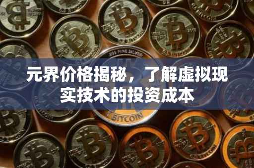 元界价格揭秘，了解虚拟现实技术的投资成本