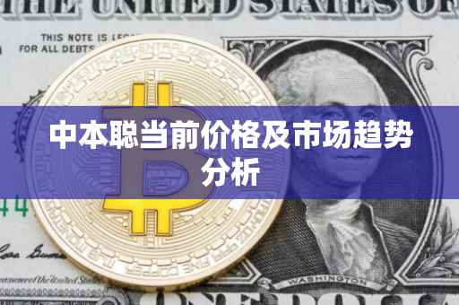 中本聪当前价格及市场趋势分析