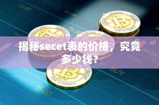 揭秘secet表的价格，究竟多少钱？