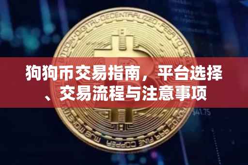 狗狗币交易指南，平台选择、交易流程与注意事项