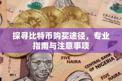 探寻比特币购买途径，专业指南与注意事项