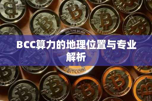 BCC算力的地理位置与专业解析