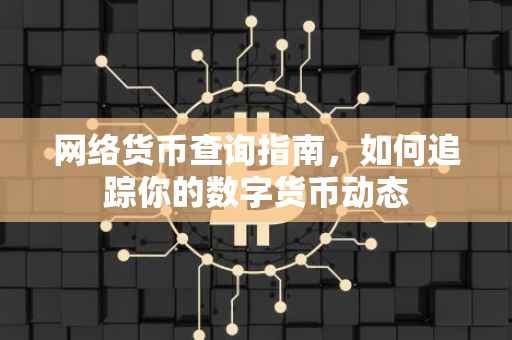 网络货币查询指南，如何追踪你的数字货币动态