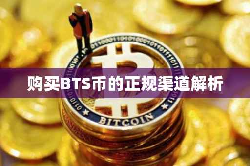 购买BTS币的正规渠道解析