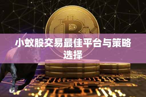 小蚁股交易最佳平台与策略选择