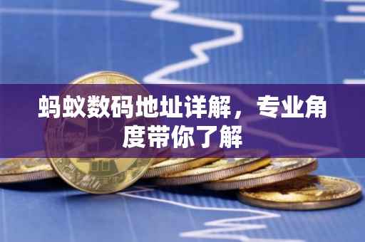 蚂蚁数码地址详解,专业角度带你了解