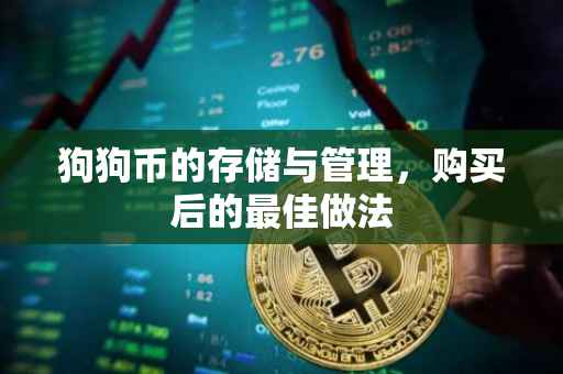 狗狗币的存储与管理，购买后的最佳做法