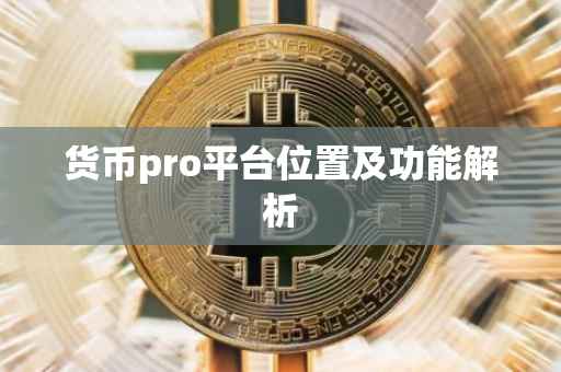 货币pro平台位置及功能解析