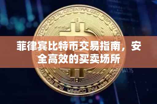 菲律宾比特币交易指南，安全高效的买卖场所