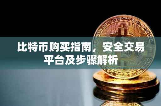 比特币购买指南，安全交易平台及步骤解析