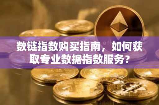 数链指数购买指南，如何获取专业数据指数服务？