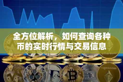 全方位解析，如何查询各种币的实时行情与交易信息