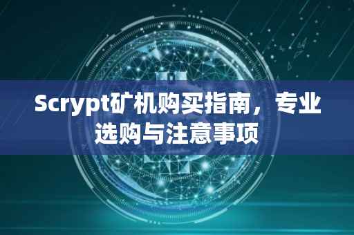 Scrypt矿机购买指南，专业选购与注意事项